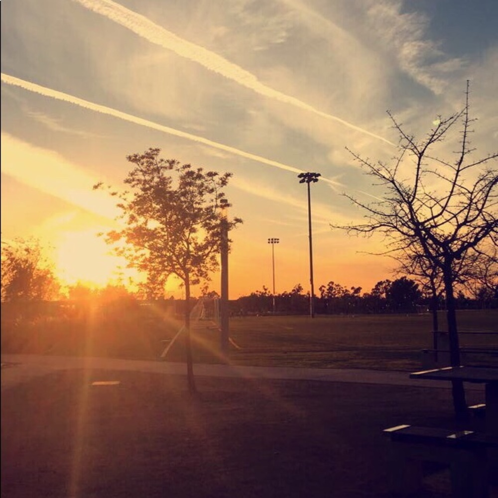 Meet your Posher, Rosie